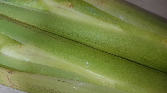 f:id:chippy55:20211008123450j:image f:id:chippy55:20211008123450j:image