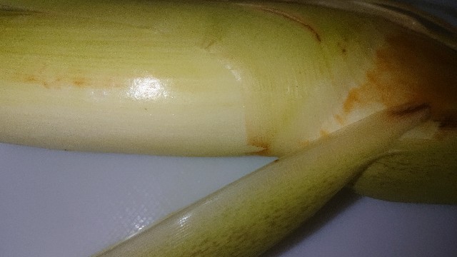 f:id:chippy55:20211008123526j:image f:id:chippy55:20211008123526j:image