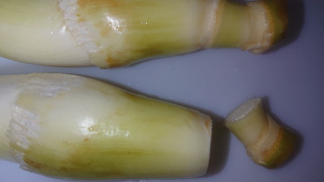 f:id:chippy55:20211008123643j:image f:id:chippy55:20211008123643j:image