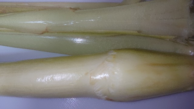 f:id:chippy55:20211008123901j:image f:id:chippy55:20211008123901j:image