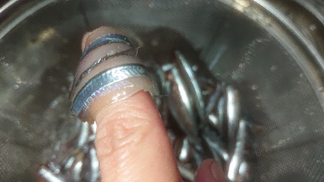 板前レシピ きびなご さばき方 刺身 作り方 ちっぴぃクッキング