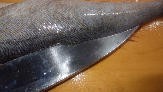 板前レシピ ホッケの開き 干物の作り方 ちっぴぃクッキング