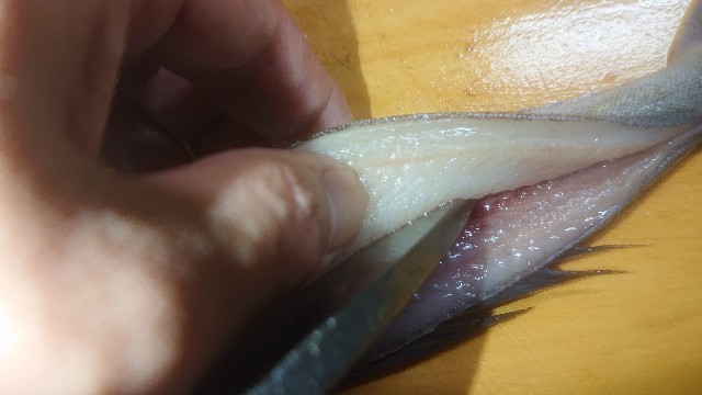 板前レシピ ホッケの開き 干物の作り方 ちっぴぃクッキング