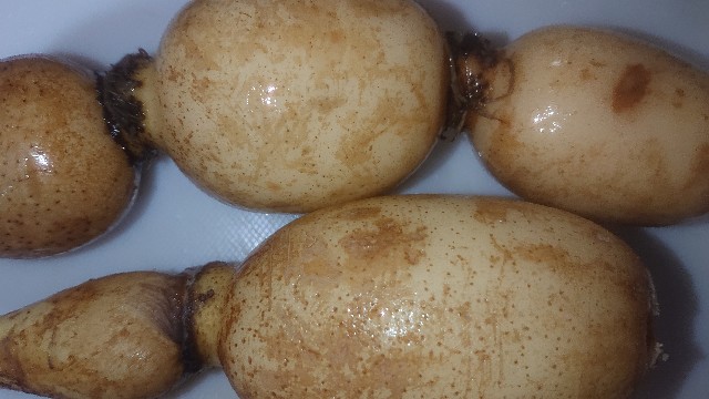 f:id:chippy55:20220914200938j:image