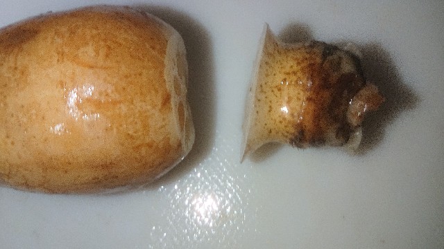 f:id:chippy55:20220914201149j:image