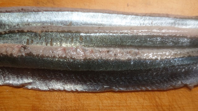 f:id:chippy55:20221027075558j:image f:id:chippy55:20221027075558j:image