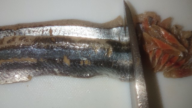 f:id:chippy55:20221027075625j:image f:id:chippy55:20221027075625j:image