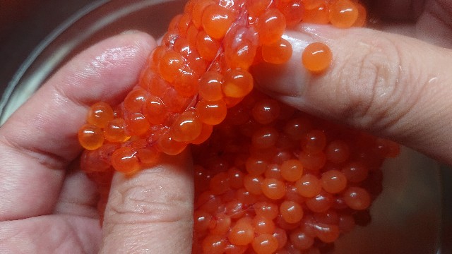 f:id:chippy55:20221028214630j:image f:id:chippy55:20221028214630j:image