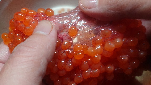 f:id:chippy55:20221028214902j:image f:id:chippy55:20221028214902j:image