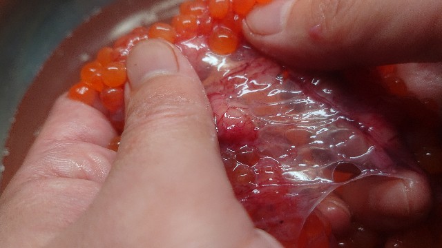 f:id:chippy55:20221028215000j:image f:id:chippy55:20221028215000j:image