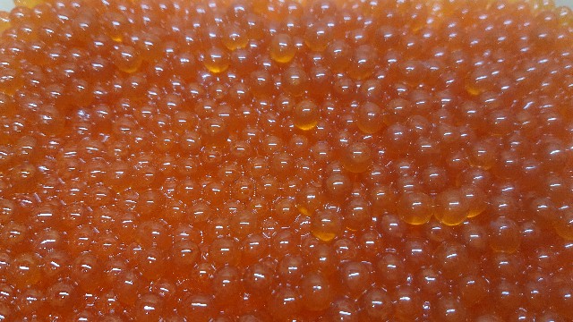 f:id:chippy55:20221029184134j:image f:id:chippy55:20221029184134j:image