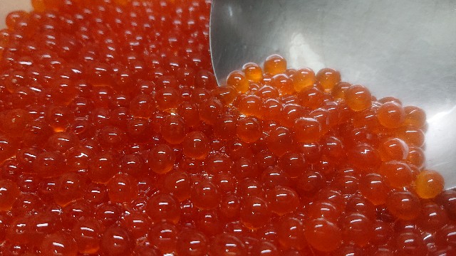 f:id:chippy55:20221029184200j:image f:id:chippy55:20221029184200j:image