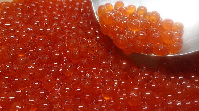 f:id:chippy55:20221029184237j:image f:id:chippy55:20221029184237j:image