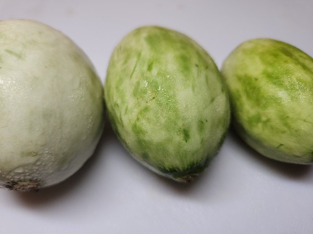 f:id:chippy55:20230616162930j:image