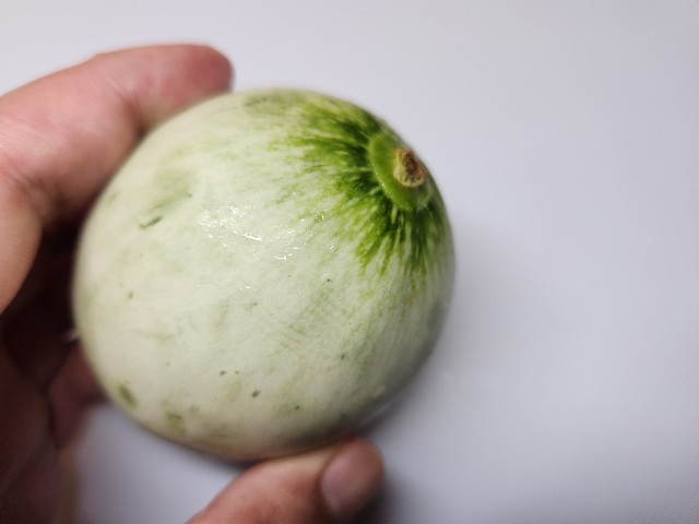 f:id:chippy55:20230617203224j:image