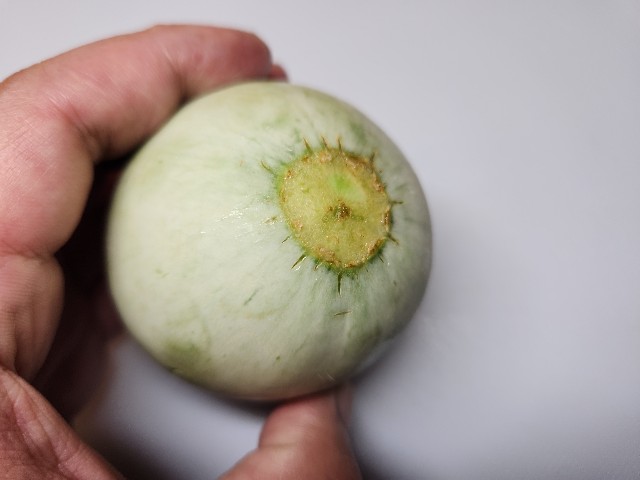 f:id:chippy55:20230617203308j:image