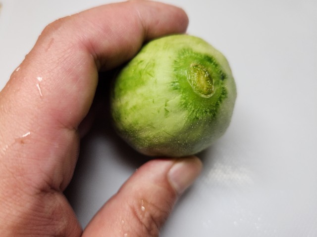 f:id:chippy55:20230617205536j:image