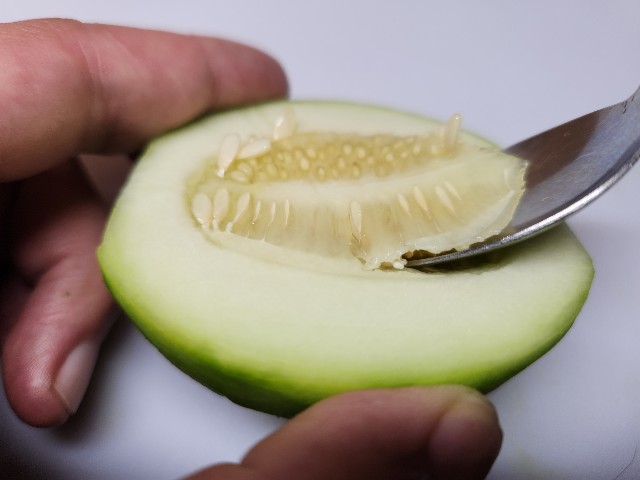 f:id:chippy55:20230617210247j:image