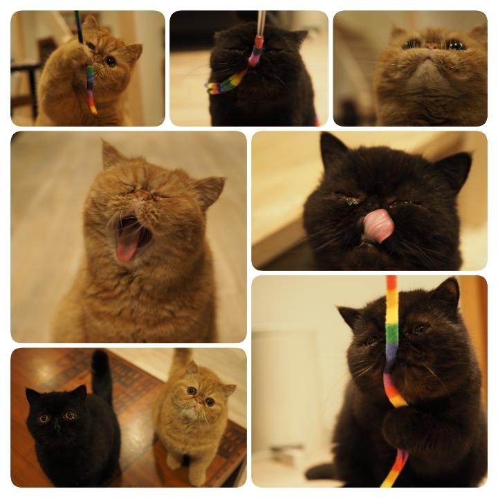 f:id:chira_rhythm55:20180507233604j:plain