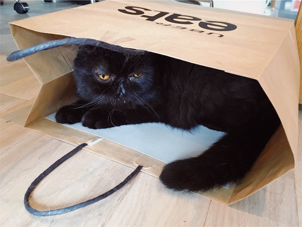 f:id:chira_rhythm55:20180730133832j:image