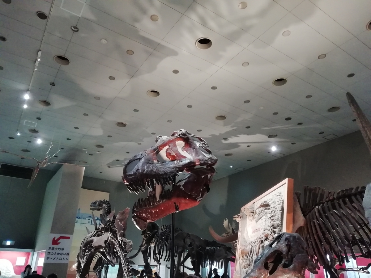 f:id:chirekibu:20190505173833j:plain