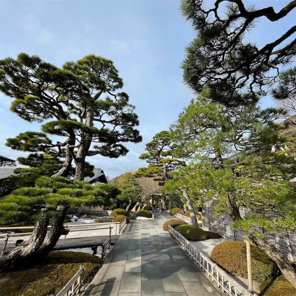 f:id:chiri3526:20220117181320j:image