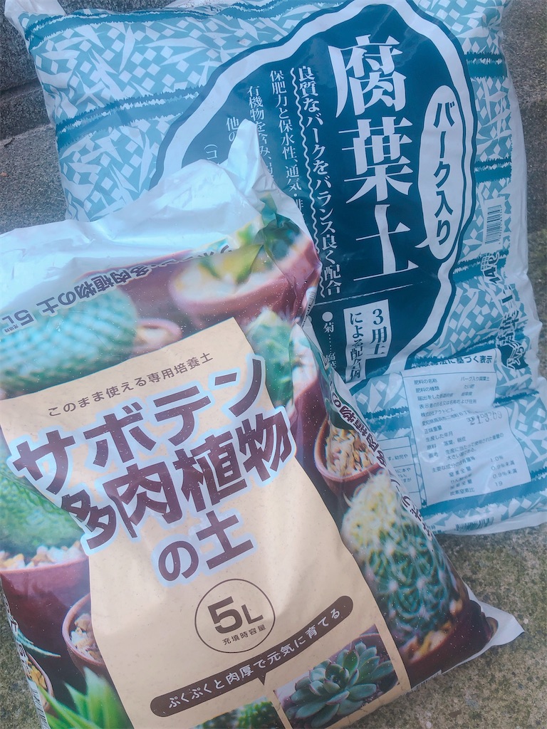 f:id:chirikoi:20211118170218j:plain