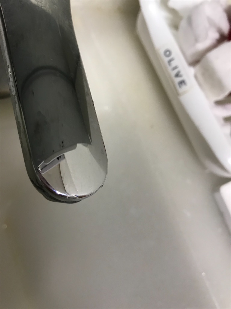 f:id:chirimotsumorebanantoyara:20210220232816j:image f:id:chirimotsumorebanantoyara:20210220232816j:image