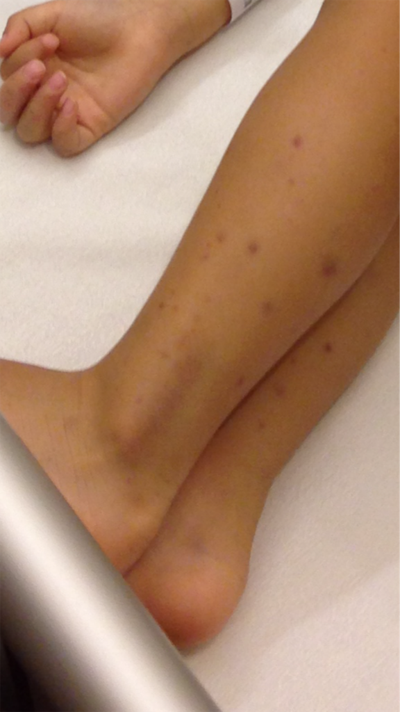 f:id:chirio:20190406102941p:image