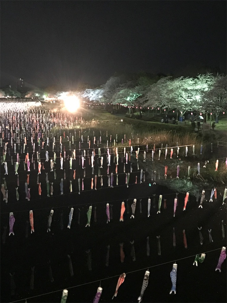 f:id:chirio:20190406214227j:image