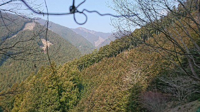 f:id:chirl0301:20170319225315j:image f:id:chirl0301:20170319225315j:image