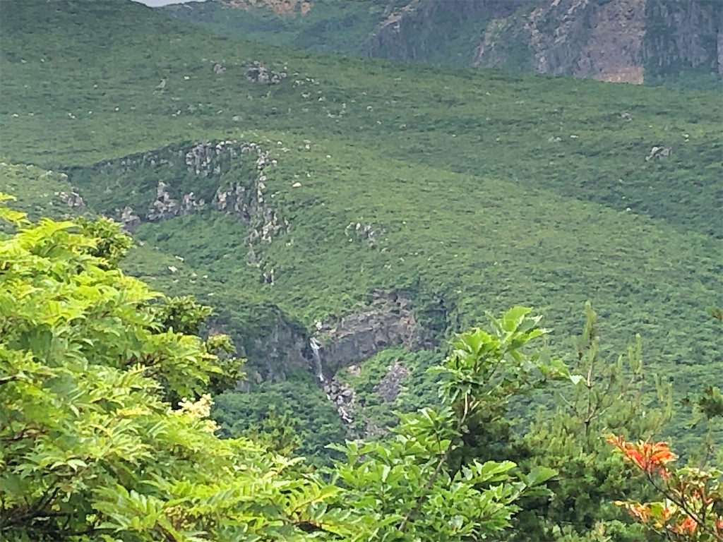 f:id:chirl0301:20200802211434j:image f:id:chirl0301:20200802211434j:image