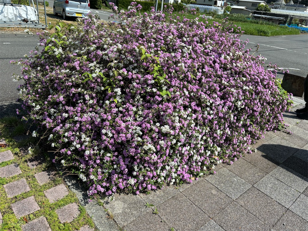 f:id:chirl0301:20240429160749j:image
