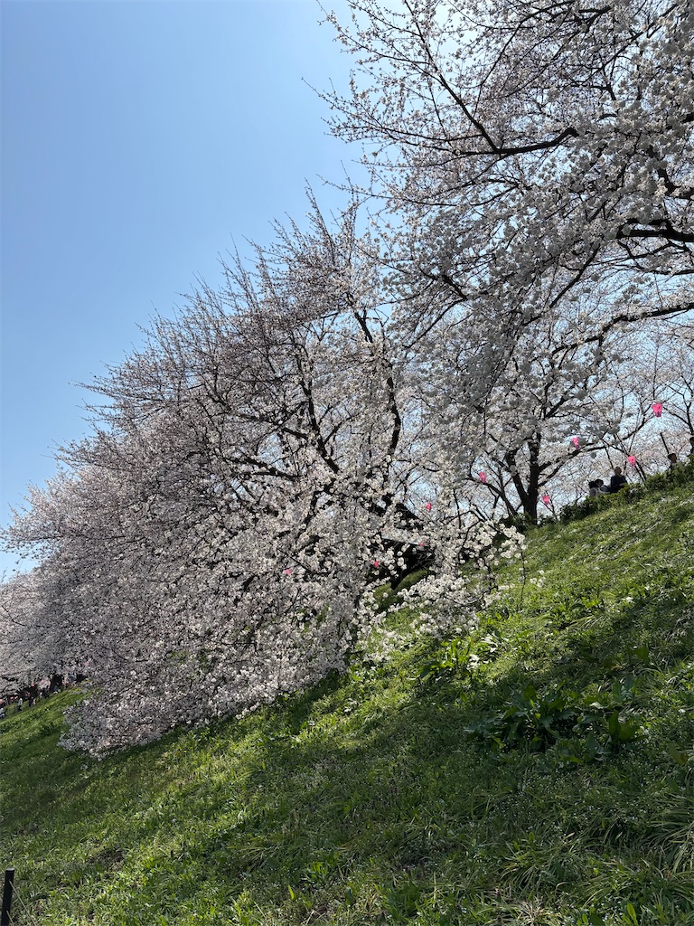 f:id:chirl0301:20250406085023j:image