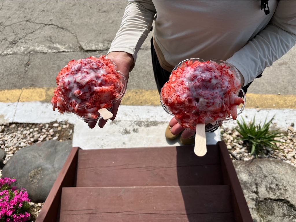 f:id:chirl0301:20250420084221j:image