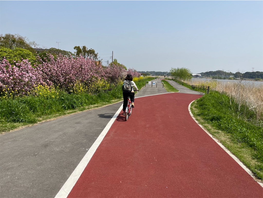 f:id:chirl0301:20250420084233j:image