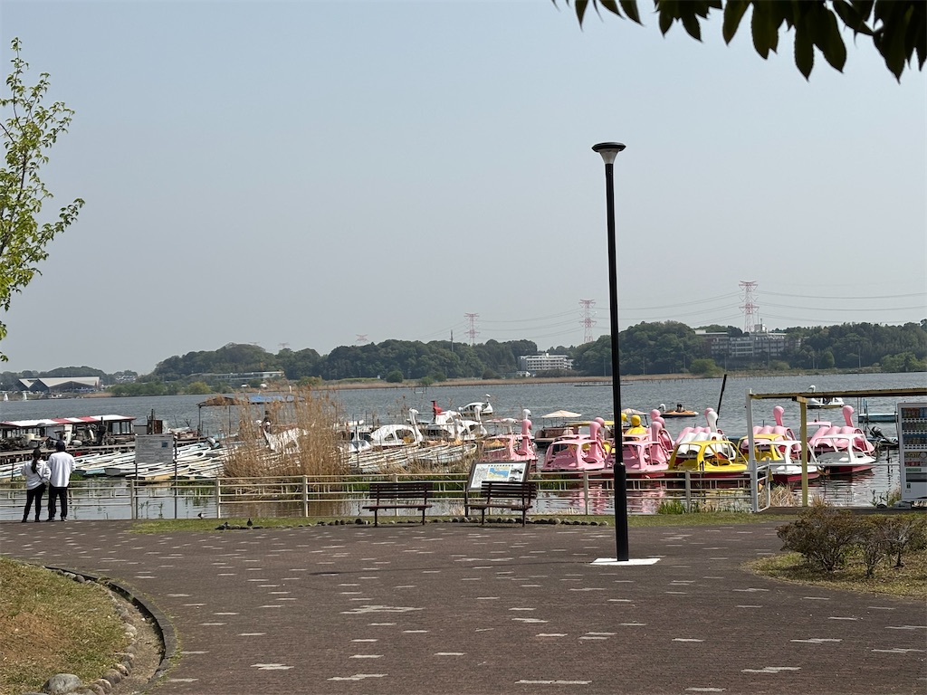 f:id:chirl0301:20250420084312j:image