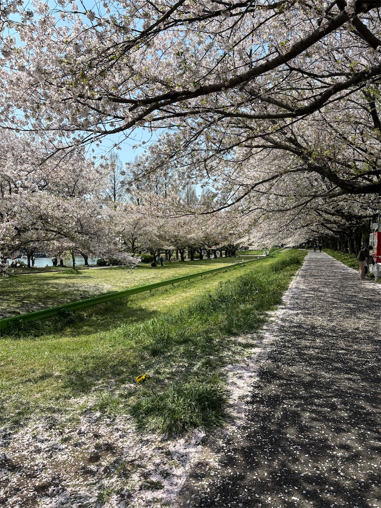 f:id:chirl0301:20250420085021j:image