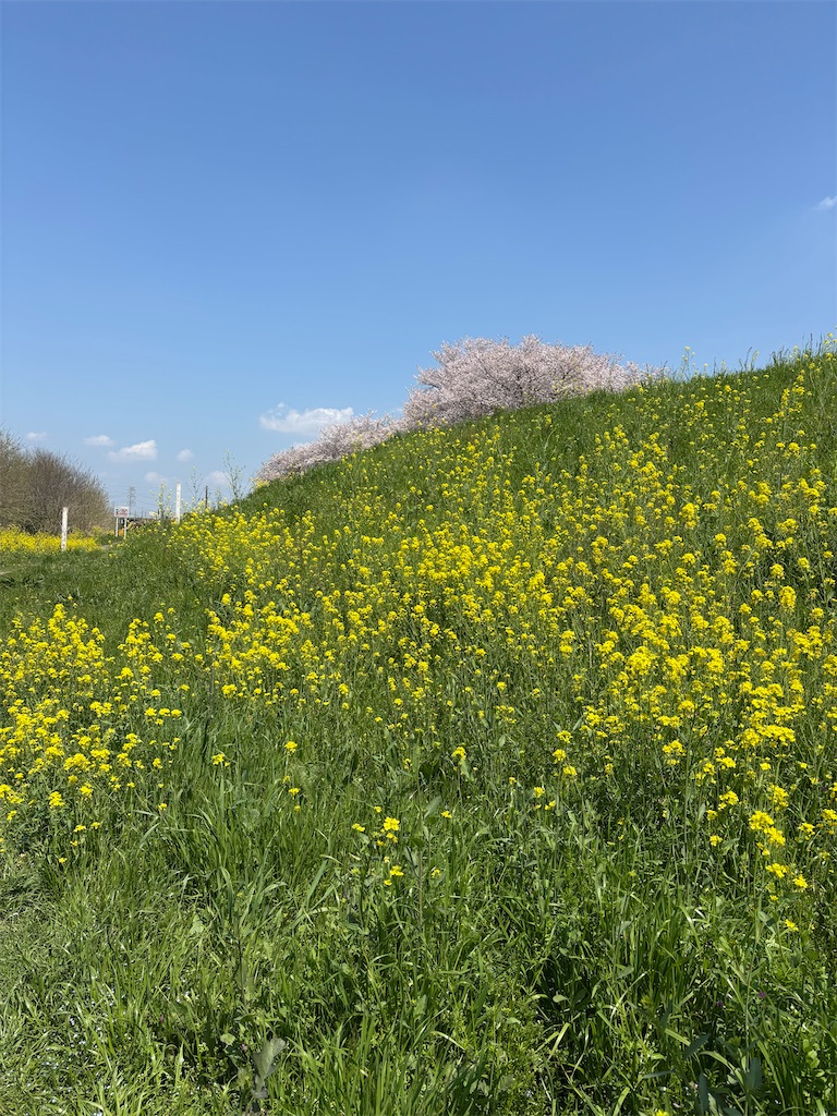 f:id:chirl0301:20250420085026j:image