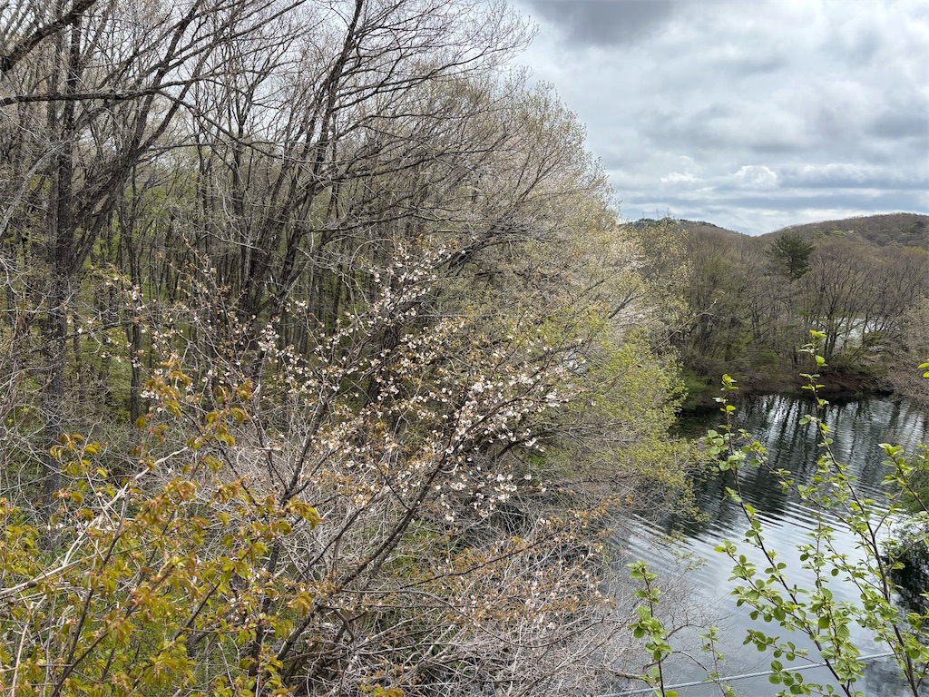 f:id:chirl0301:20250506081412j:image