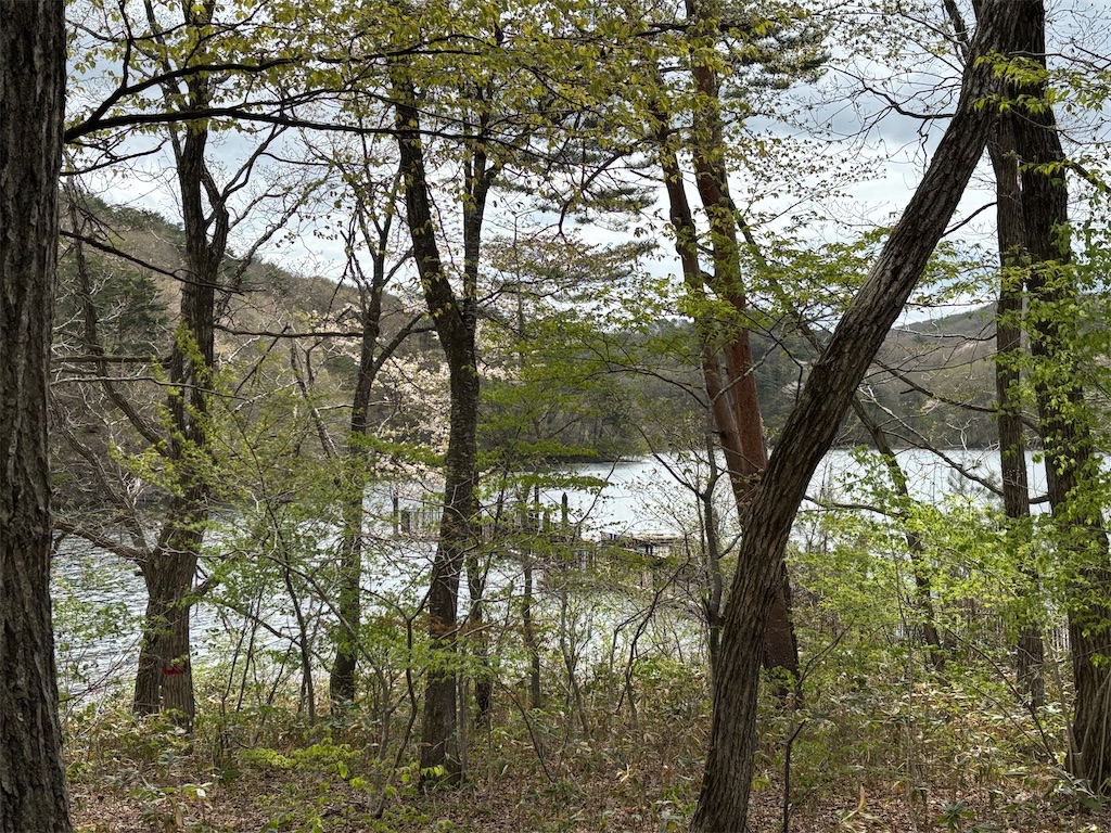 f:id:chirl0301:20250506081416j:image