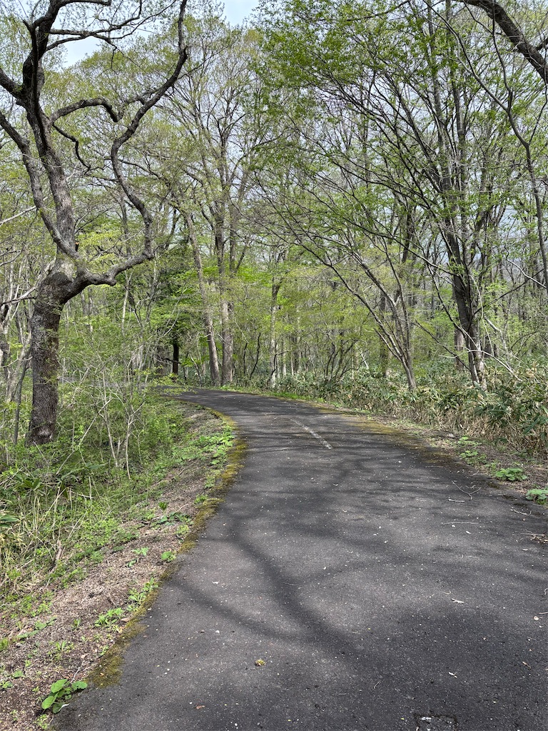 f:id:chirl0301:20250506081425j:image