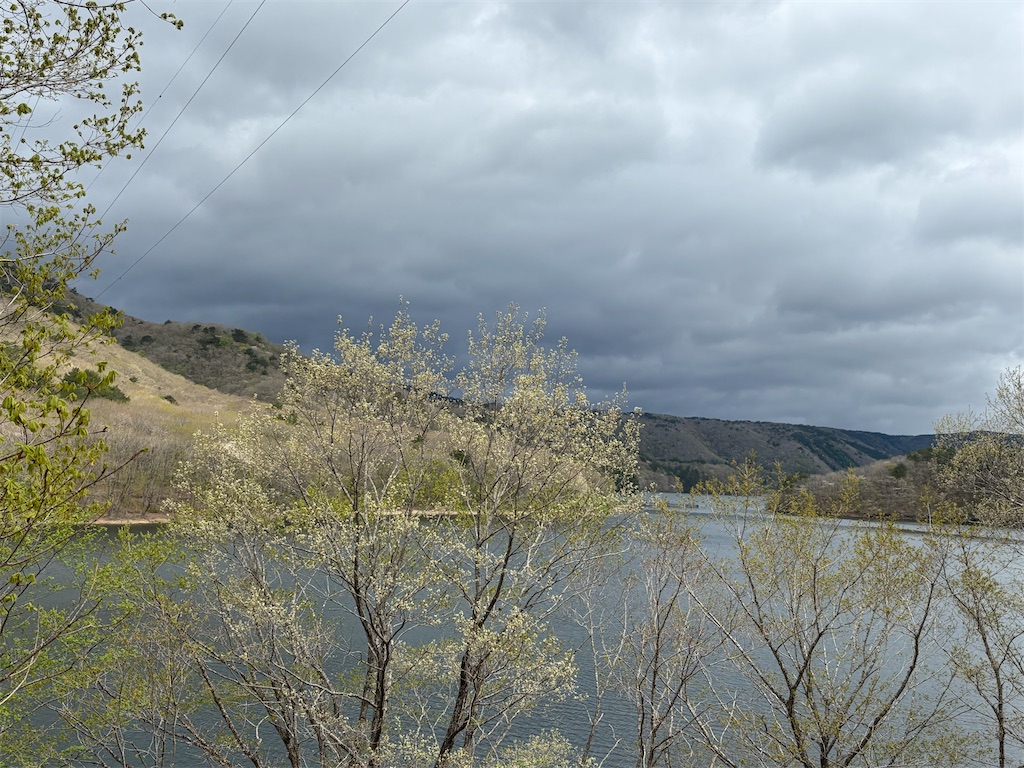 f:id:chirl0301:20250506082820j:image