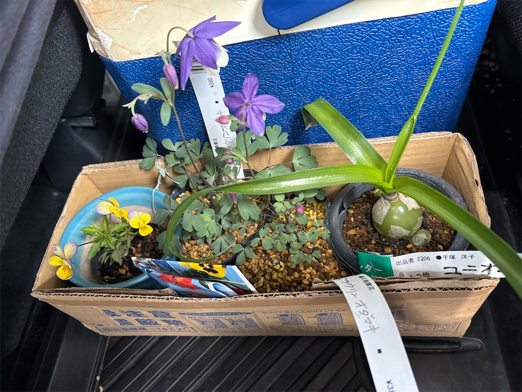 f:id:chirl0301:20250506083750j:image