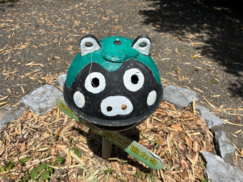 f:id:chirl0301:20250721191130j:image