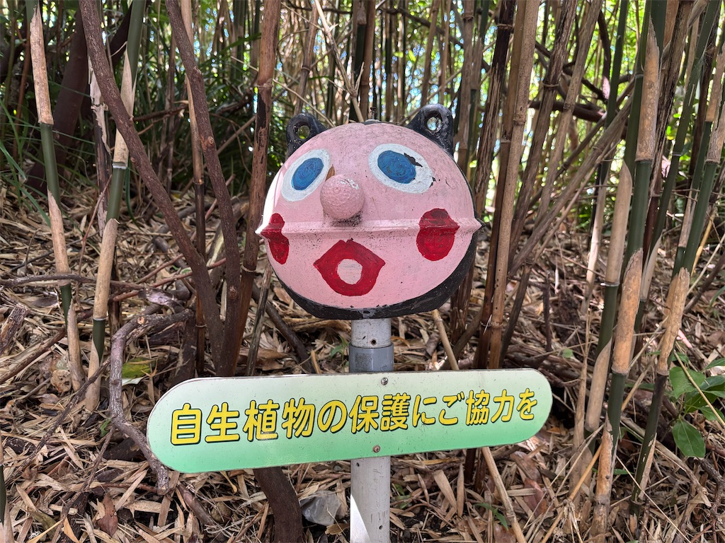 f:id:chirl0301:20250721191134j:image