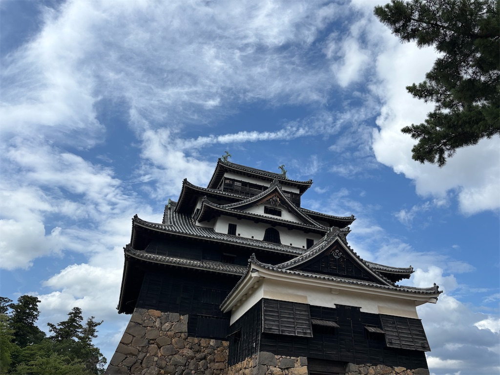 f:id:chirl0301:20250811104634j:image