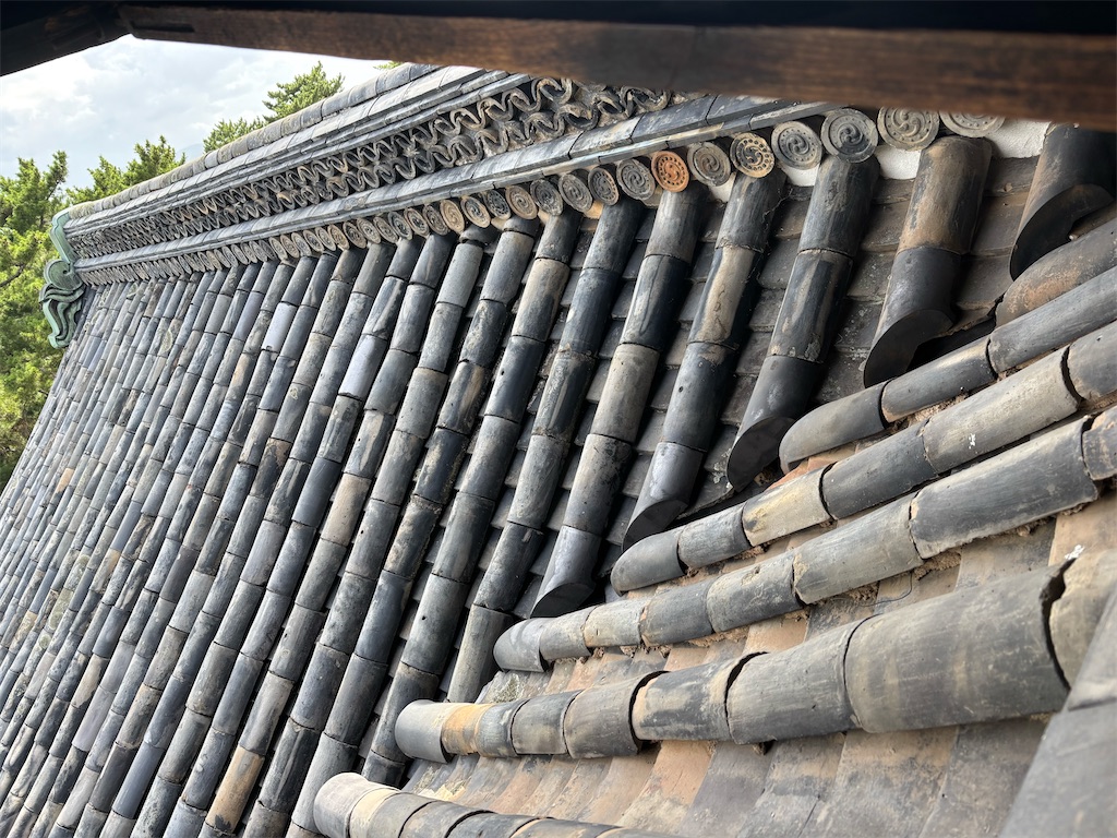 f:id:chirl0301:20250811105743j:image