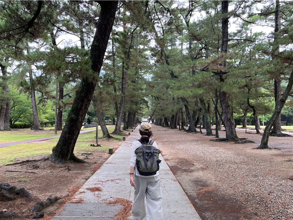 f:id:chirl0301:20250811111734j:image