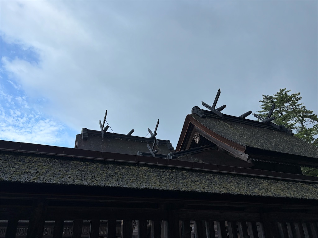 f:id:chirl0301:20250811113255j:image